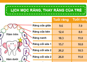 Bảng thứ tự Mọc răng và Thay răng sữa của bé theo thời gian chính xác nhất