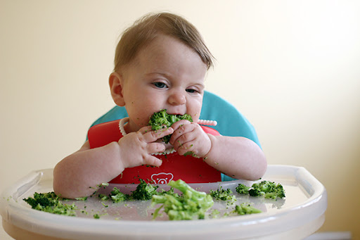 Hướng dẫn cách chế biến món ăn thô cho trẻ