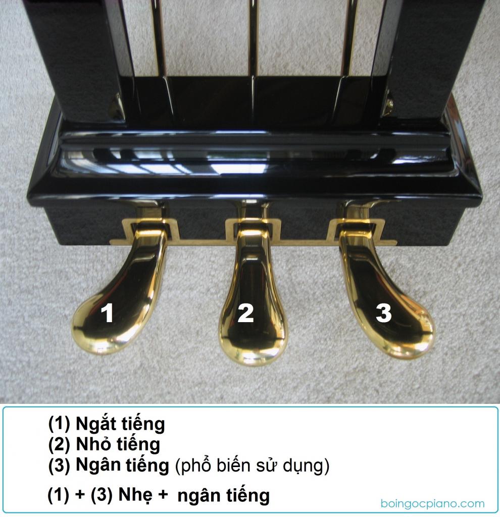 Hướng Dẫn Sử Dụng Pedal Piano