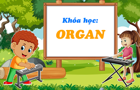 Khóa Học Organ