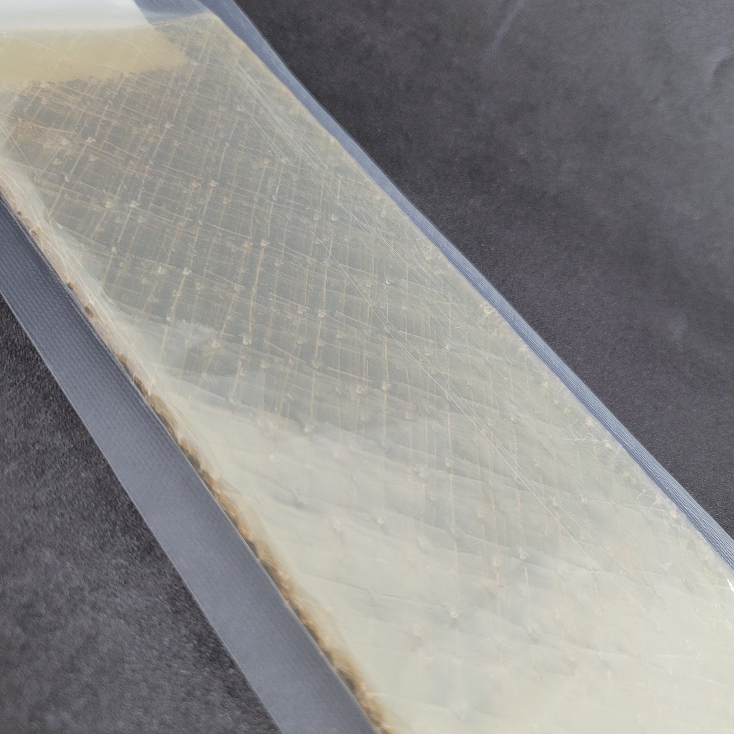 Lá gelatine Ewald 50g