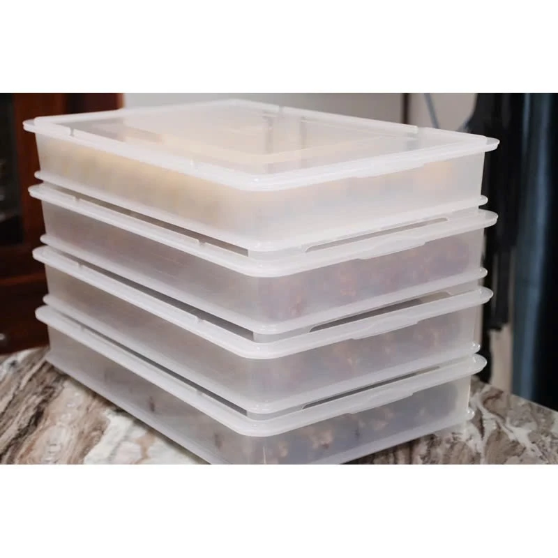 Sanneng SN4657 - SN4656 - Hộp nhựa đựng bánh kèm nắp