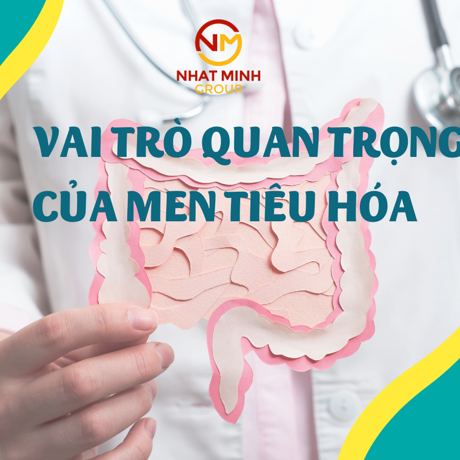 VAI TRÒ QUAN TRỌNG CỦA MEN TIÊU HÓA
