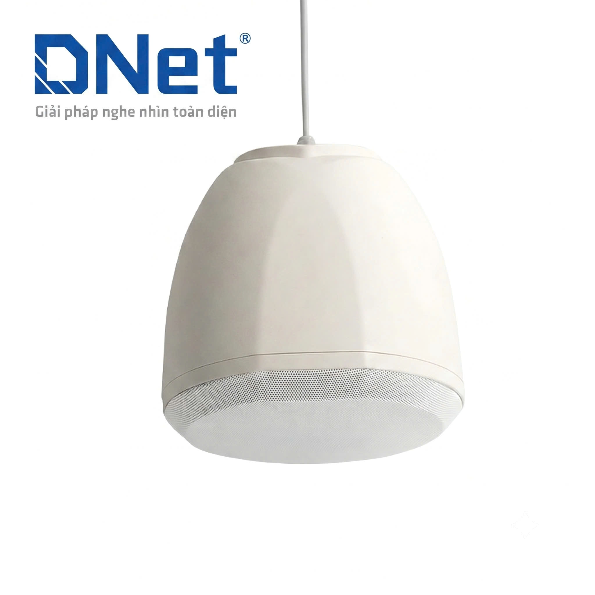 Loa thả trần 60W