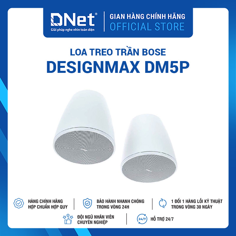 Loa Thả Trần Bose DesignMax DM5P