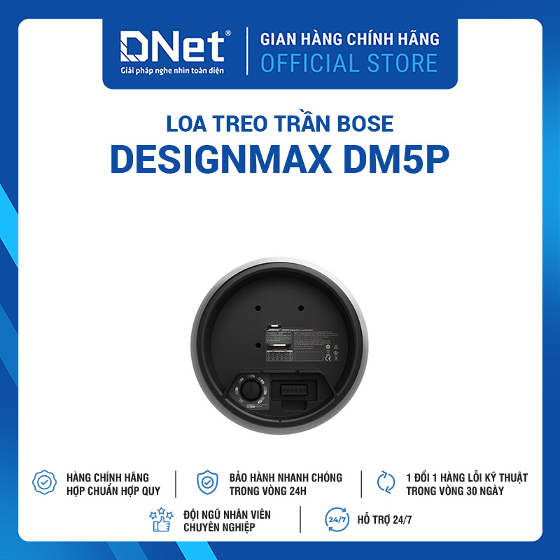 Loa Thả Trần Bose DesignMax DM5P