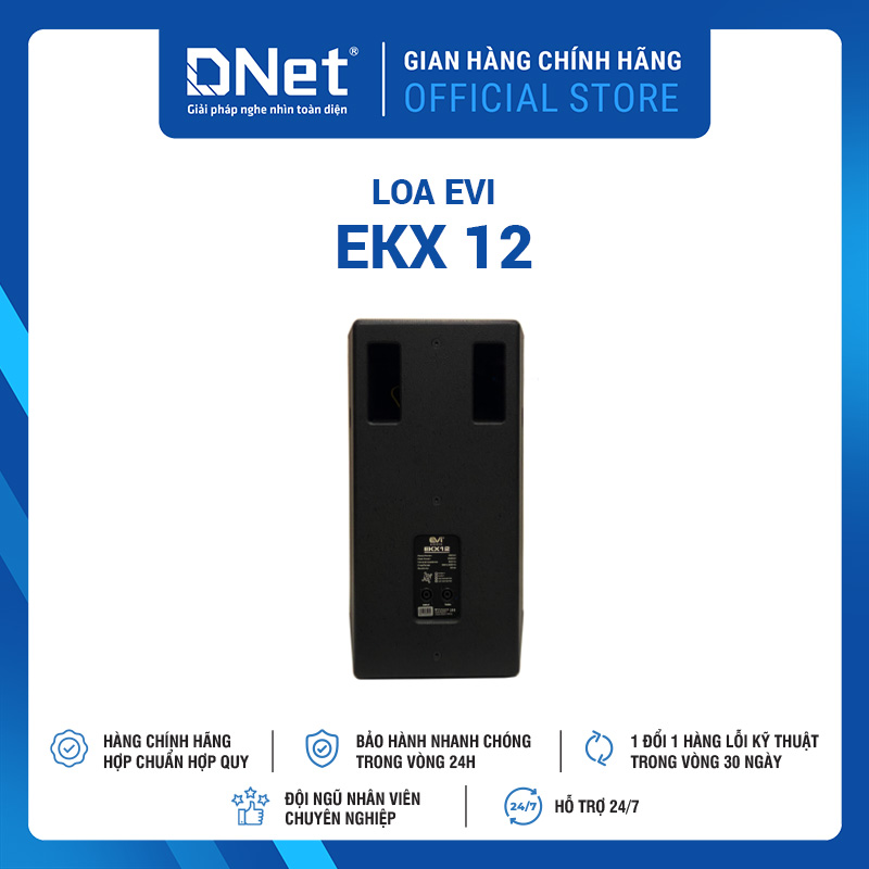 Loa Evi EKX 12