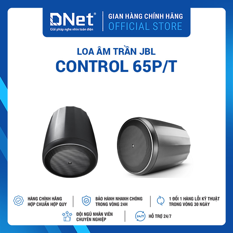 Loa Thả Trần JBL Control 65P/T