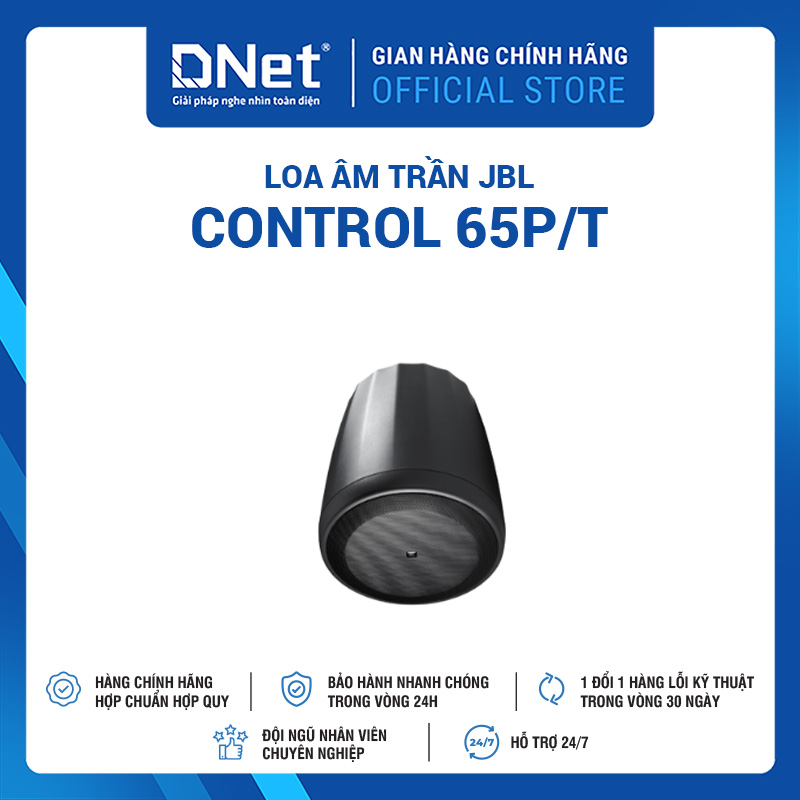Loa Thả Trần JBL Control 65P/T