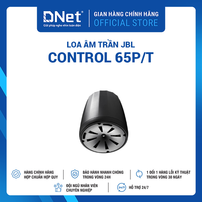 Loa Thả Trần JBL Control 65P/T