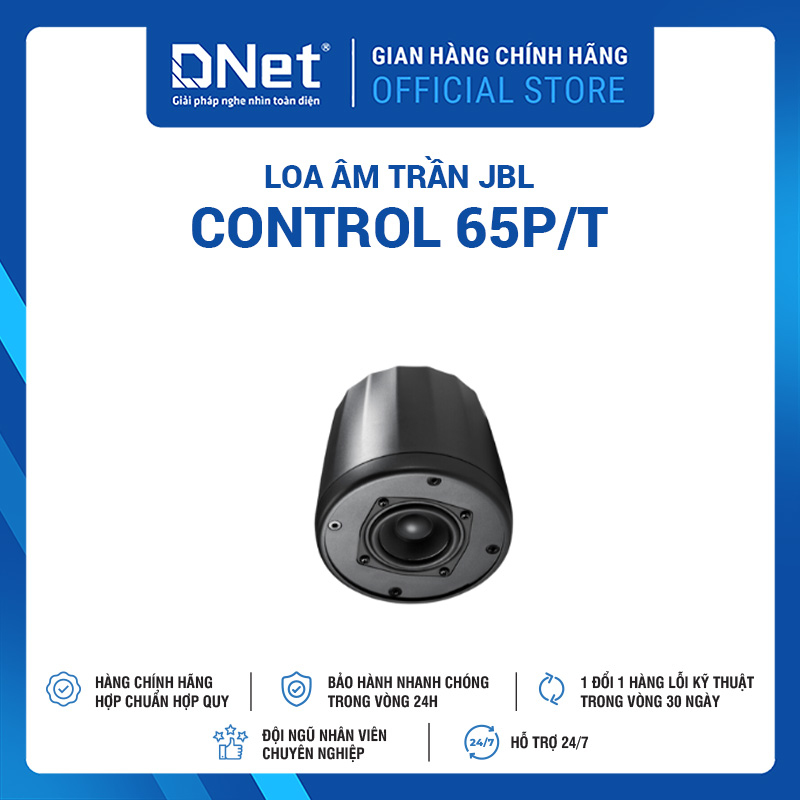 Loa Thả Trần JBL Control 65P/T