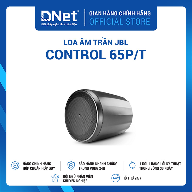 Loa Thả Trần JBL Control 65P/T
