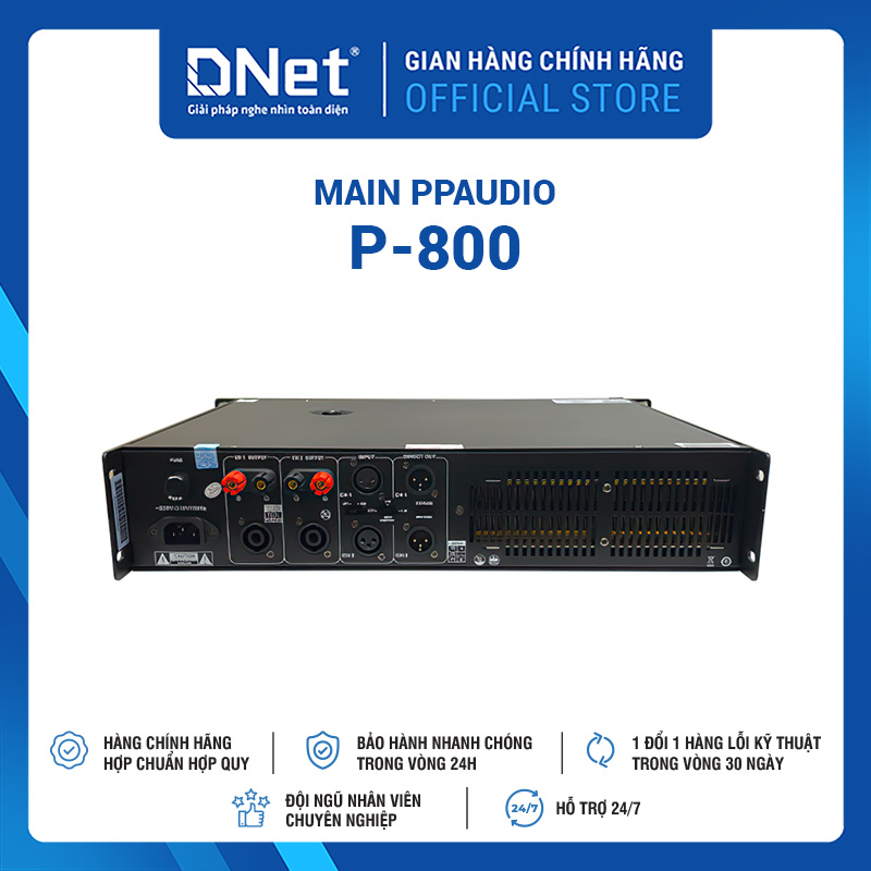 Main PPAUDIO P-800