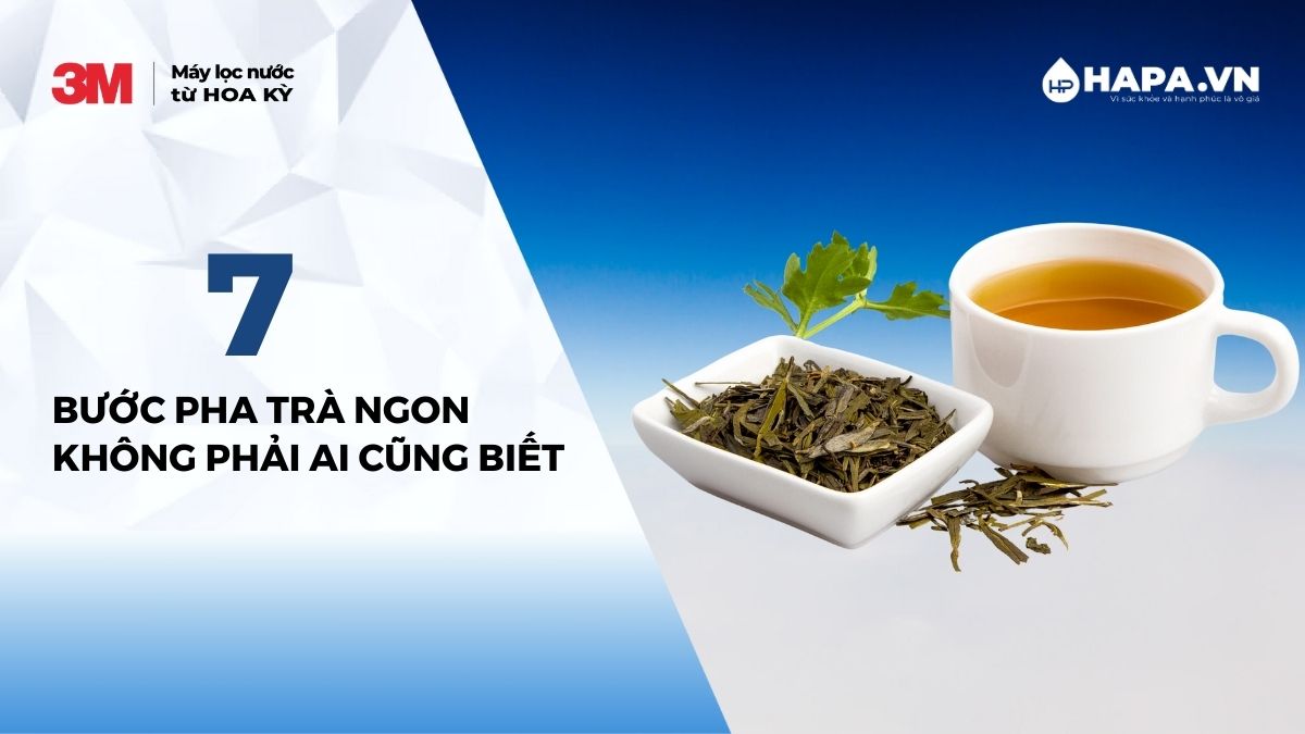 Hướng dẫn cách pha trà ngon không phải ai cũng biết