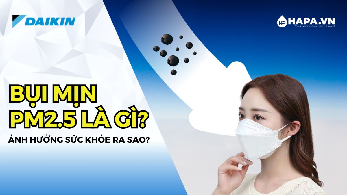 Bụi Mịn PM2.5 là gì? Các Mức Độ Ảnh Hưởng Của Bụi Mịn PM2.5 Đối Với Sức Khỏe Con Người
