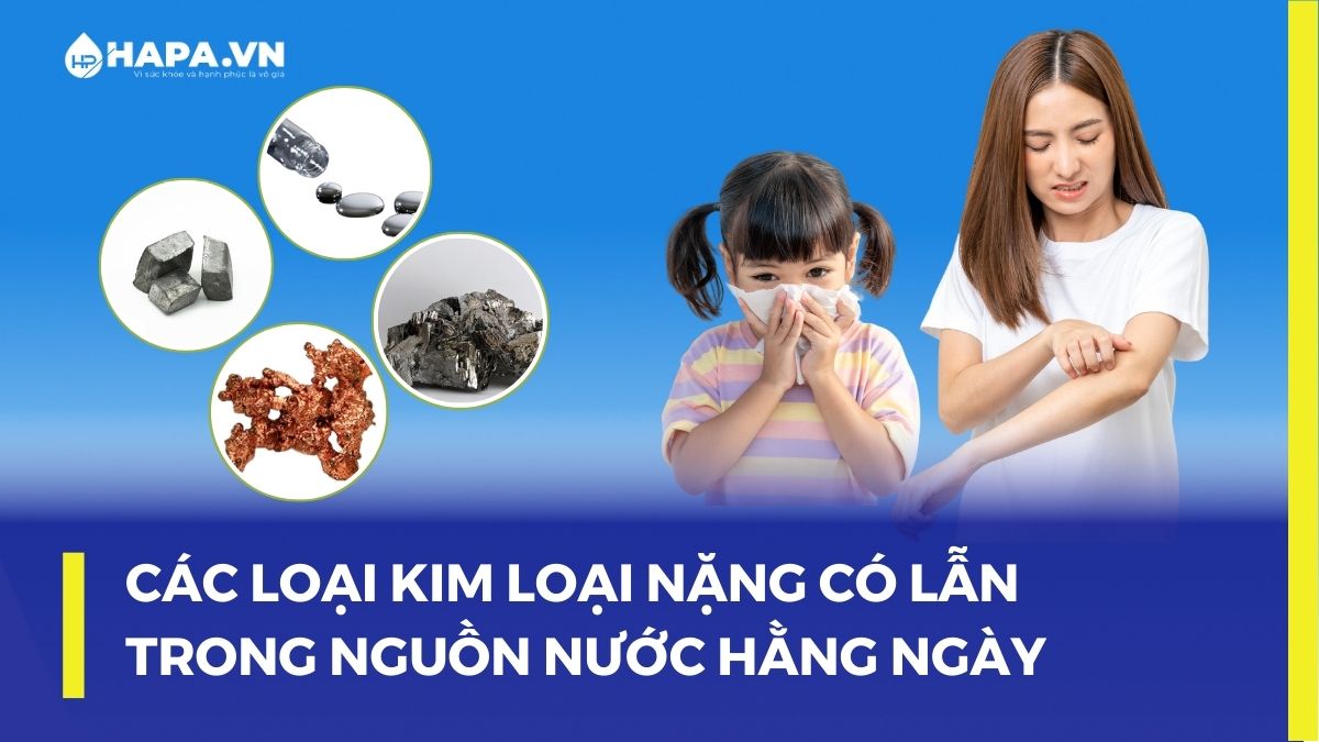 Kim loại nặng là gì? Tác hại của kim loại nặng trong đời sống