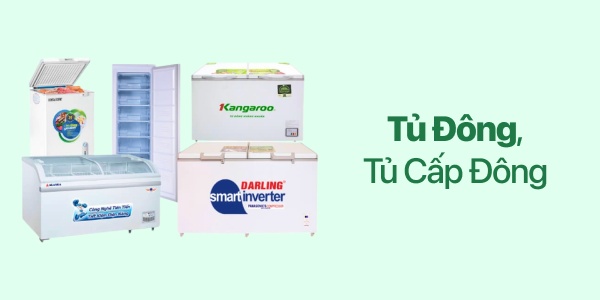 Tủ Đông 1  Ngăn