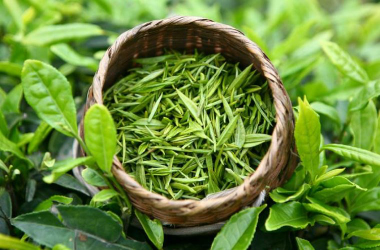 Hướng dẫn cách pha trà ngon không phải ai cũng biết