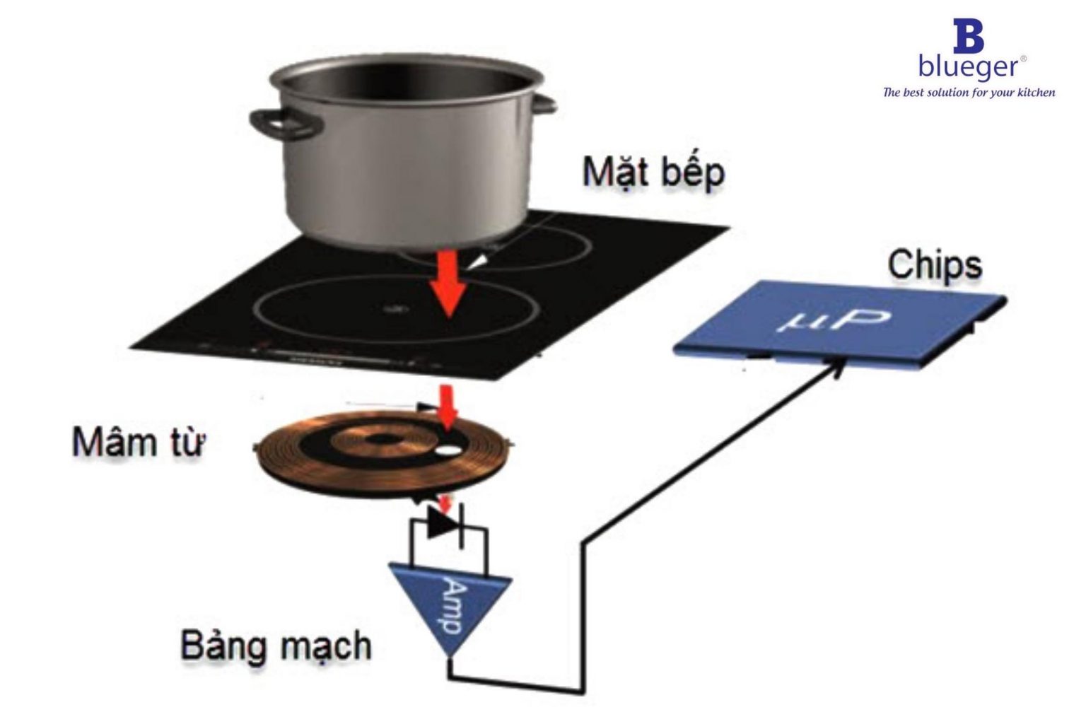 Cấu tạo của Bếp từ đôi