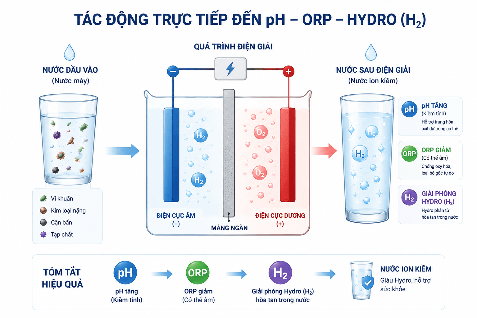 infographic quá trình điện giải 