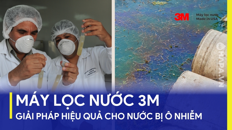 Máy lọc nước 3M giải pháp cho nước bị ô nhiễm, bảo vệ sức khỏe của bạn toàn diện