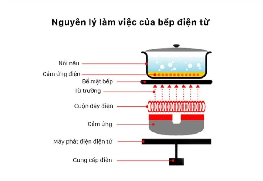 Nguyên lí hoạt động của Bếp từ đôi