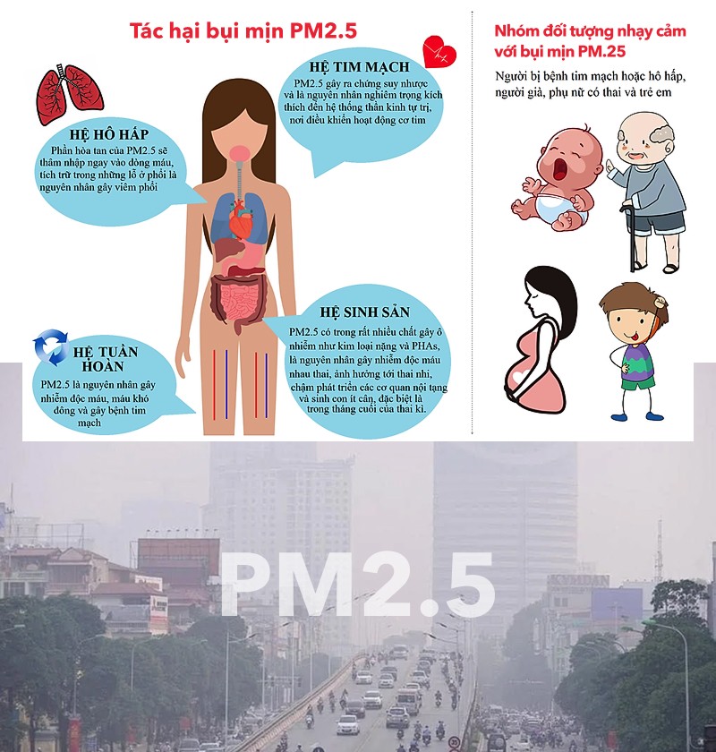 Tác hại của bụi mịn PM2.5 trong không khí ô nhiễm tới sức khỏe của bạn, đặc biệt là người lớn tuổi, phụ nữ có thai và trẻ em