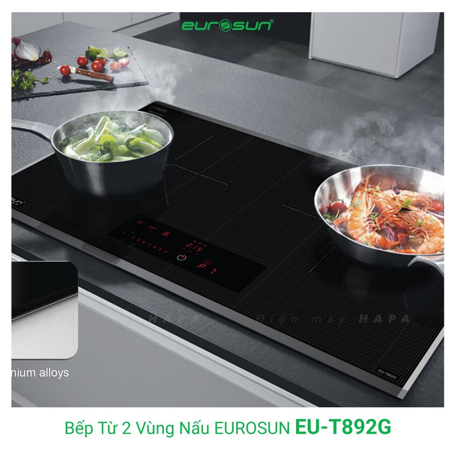 Hình ảnh thực tế của Bếp Từ Đôi Eurosun EU-T892G - Inverter Thông Minh, Nhập khẩu CHLB Đức
