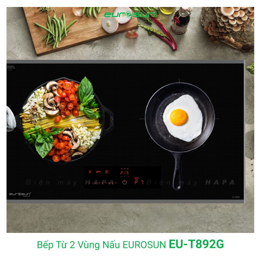 Hình ảnh thực tế của Bếp Từ Đôi Eurosun EU-T892G - Inverter Thông Minh, Nhập khẩu CHLB Đức