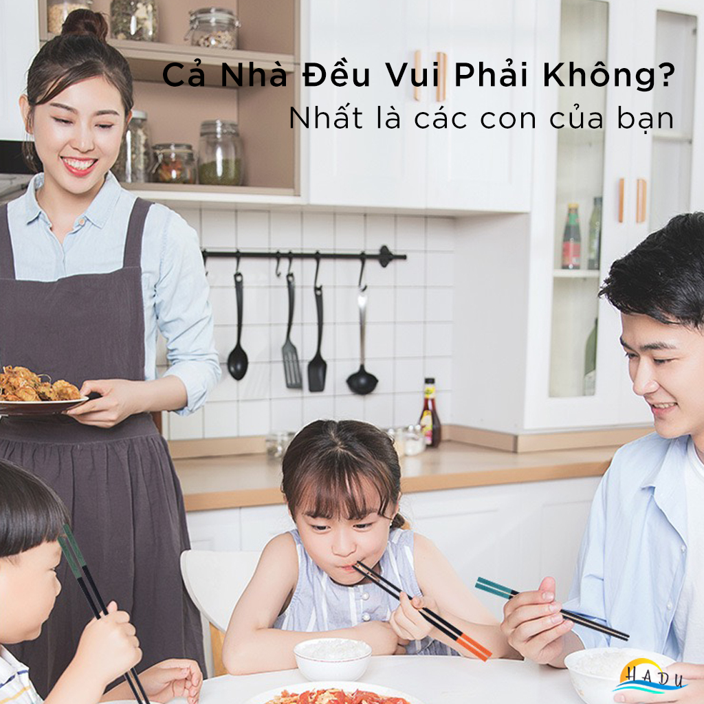 Bộ 5 Đôi Đũa Sợi Thủy Tinh HADU Họa Tiết Song Ngư, Chống Trơn, Chịu Nhiệt, 24.3cm, Đuôi 5 Màu