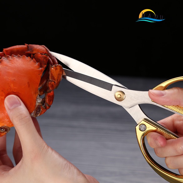 Kéo Cắt Gà Nhà Bếp Đa Năng HADU, Inox 304, Sắc Bén, Chống Trượt, 19cm, Màu Vàng Bạc