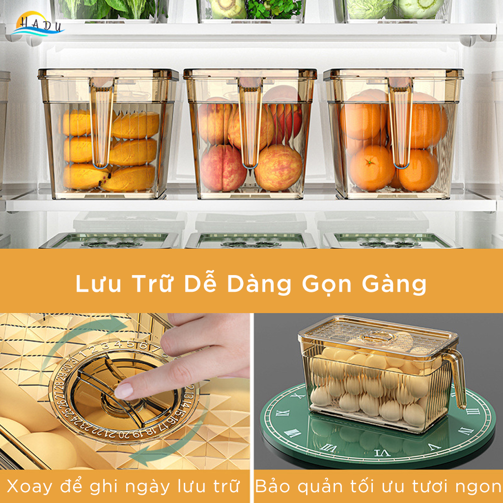 Hộp Bảo Quản Rau Củ Tủ Lạnh CCKO 6L, Có Rổ Lọc Chống Úng, Nắp Ghi Ngày, Nhiều Màu