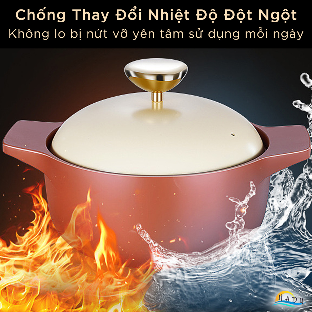 Nồi Đất Dùng Cho Bếp Từ SSGP 22cm, Thân Dày 11mm, Nắp Mạ Vàng, Đạt Chất Lượng LFGB Đức