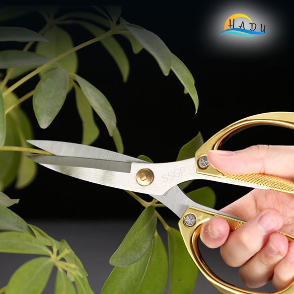 Kéo Cắt Gà Nhà Bếp Đa Năng HADU, Inox 304, Sắc Bén, Chống Trượt, 19cm, Màu Vàng Bạc