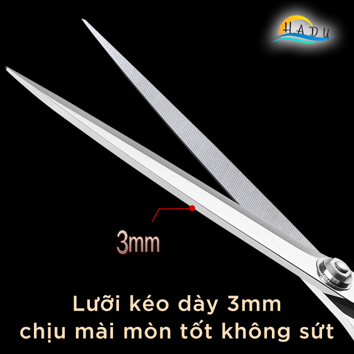 Kéo Cắt Vải Chuyên Nghiệp Cầm Tay Cao Cấp Đạt Chất Lượng Đức Dài 10ich SSGP