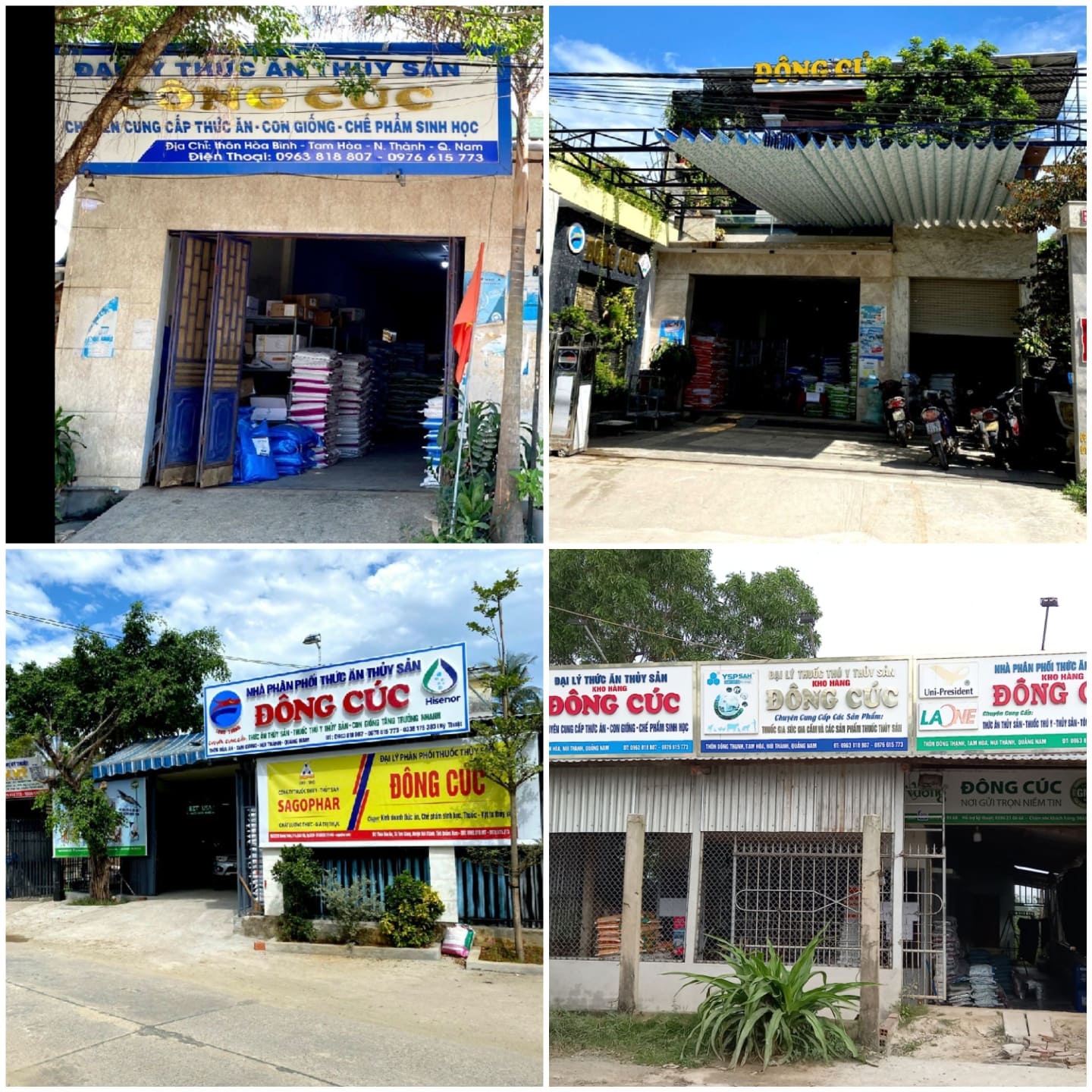 Tổng hợp thức ăn cho chó
