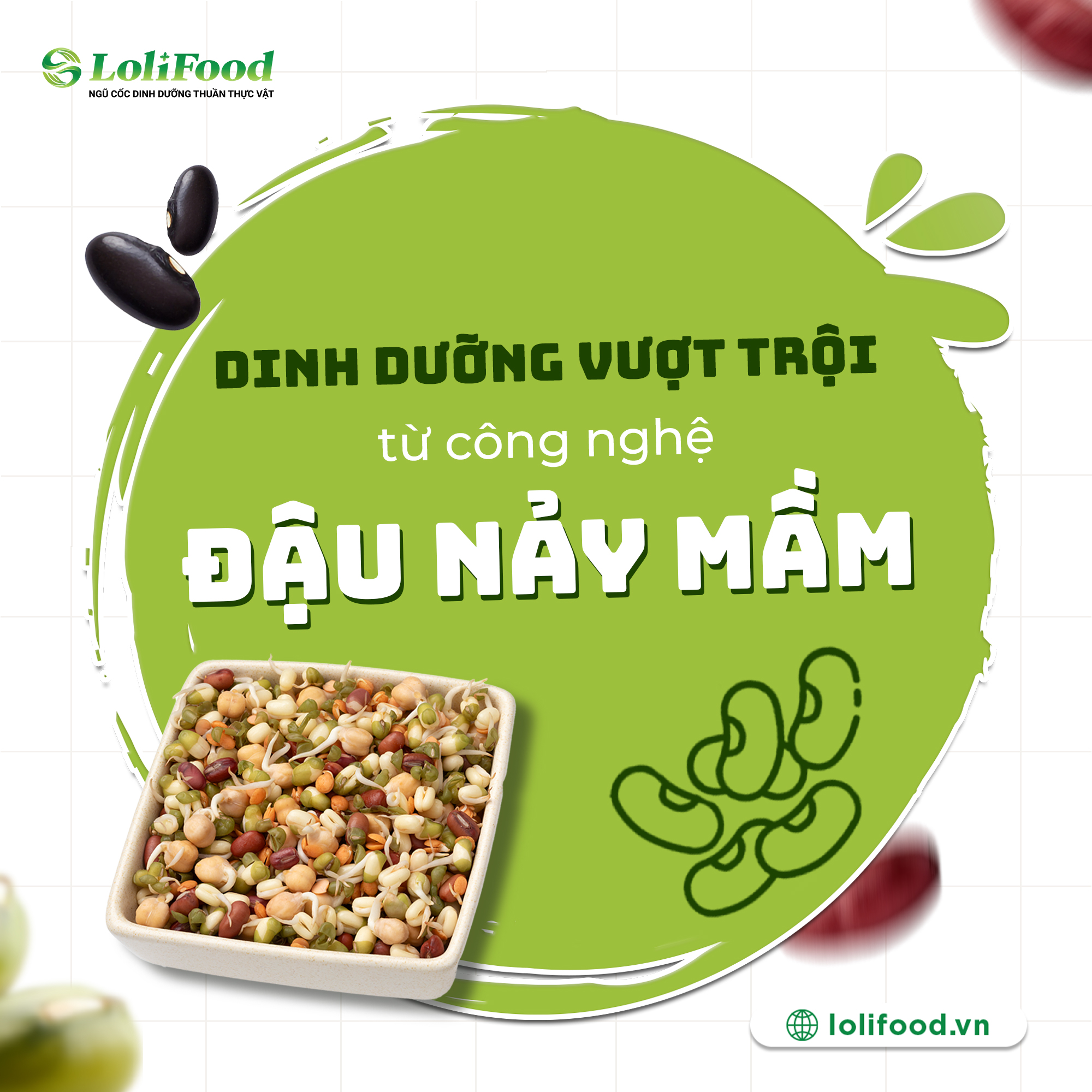 Ngũ Cốc LoliFood: Bổ Sung Dinh Dưỡng Tối Ưu Với Đậu Nảy Mầm Ngũ Cốc LoliFood: Bổ Sung Dinh Dưỡng Tối Ưu Với Đậu Nảy Mầm