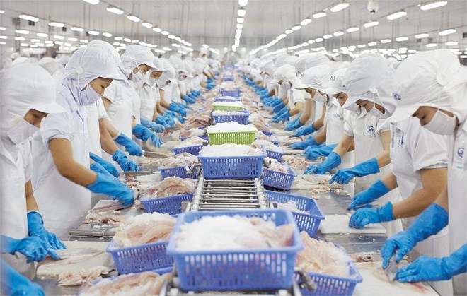 THÔNG BÁO TUYỂN DỤNG ĐƠN HÀNG THỦY SẢN