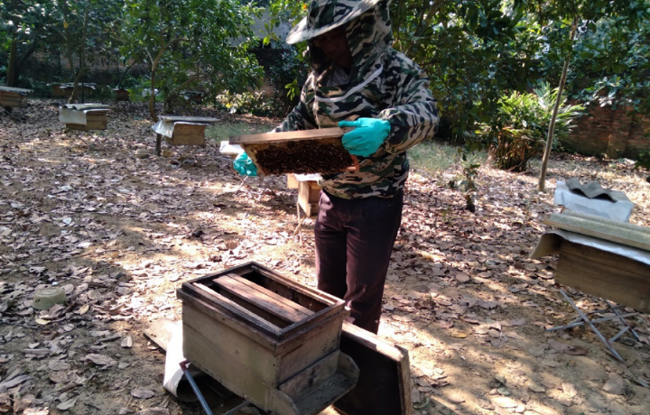 Khám Phá Sức Khỏe Tự Nhiên từ Mật Ong Hoa Rừng Lương Châu - Nguyên Bản và Bổ Dưỡng