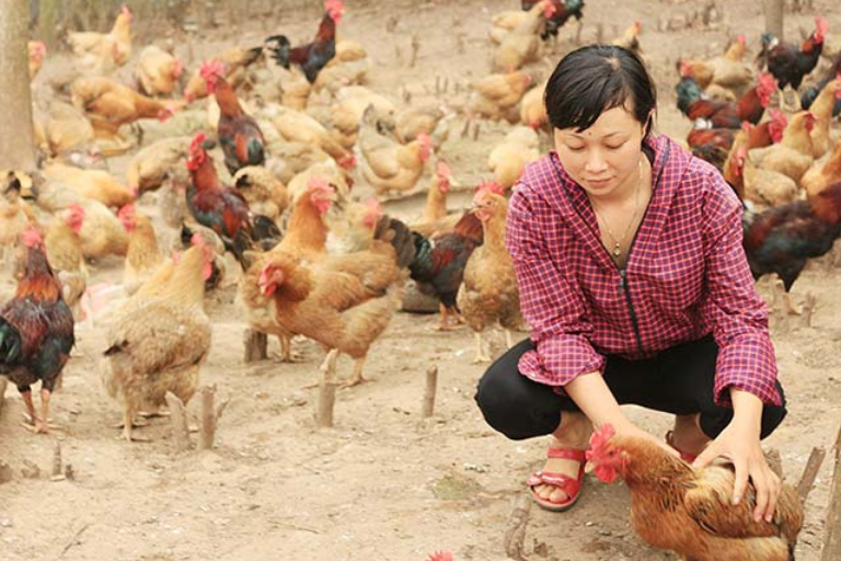 Thực phẩm sạch Sóc Sơn - Đảm bảo an toàn cho sức khỏe của bạn