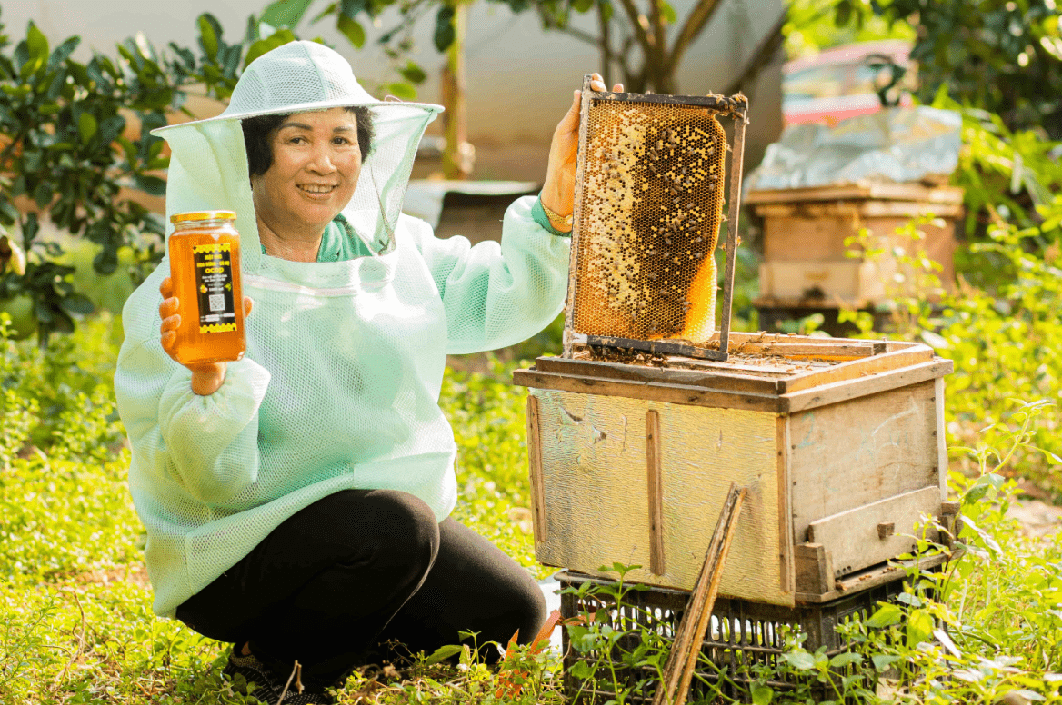 Mật ong hoa rừng cô Nụ - Mật ong rừng tự nhiên tại Sóc Sơn