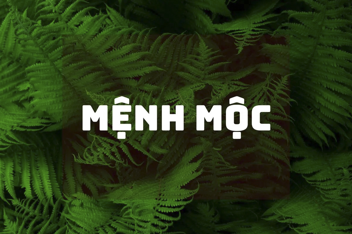 Mệnh Mộc hợp màu gì? Vòng tay phong thuỷ cho người mệnh Mộc