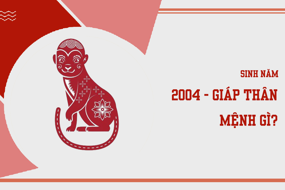 Sinh năm 2004 mệnh gì ? hợp màu nào ?