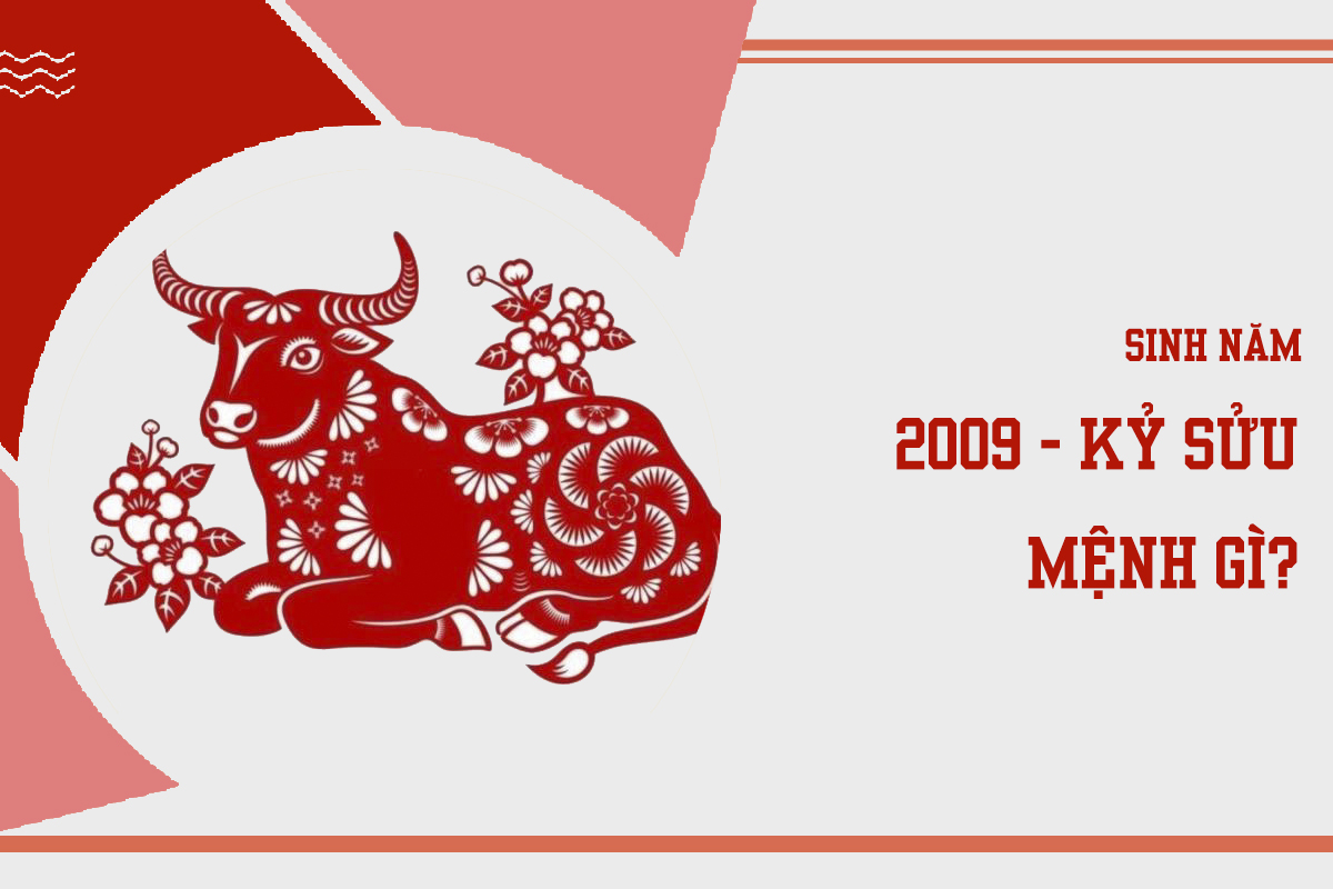 Sinh năm 2009 mệnh gì ? hợp màu nào ?