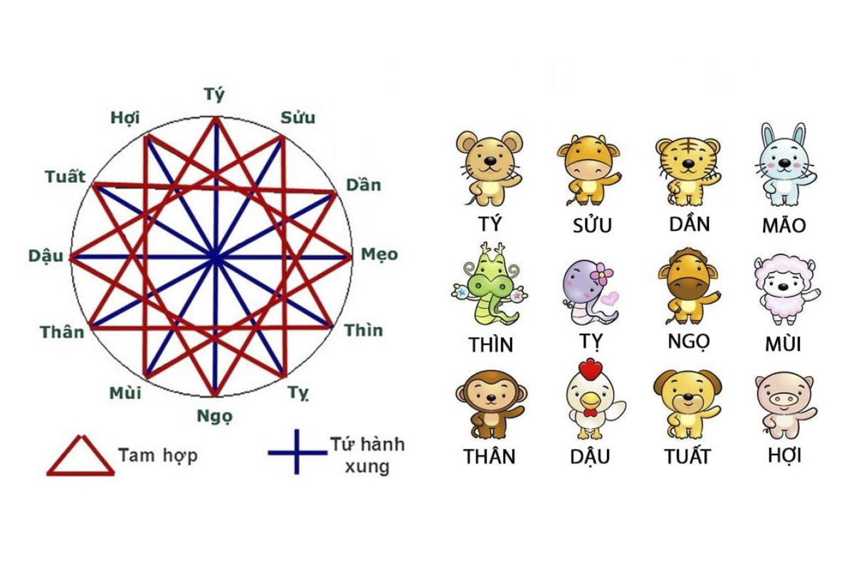 Tam Hợp – Tứ Hành Xung là gì?