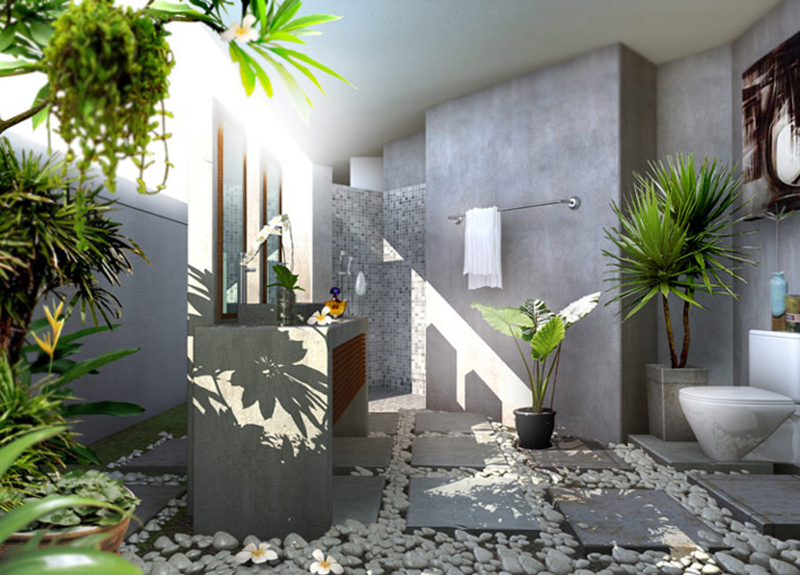 Lưu ý khi chọn cây cảnh để trang trí không gian