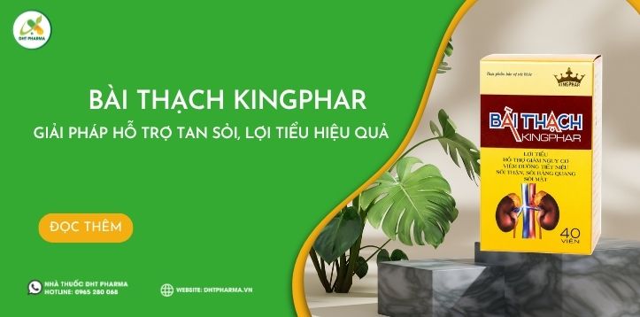 Bài Thạch Kingphar – Giải Pháp Hỗ Trợ Tan Sỏi, Lợi Tiểu Hiệu Quả