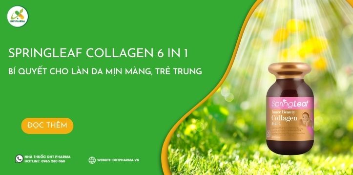 SpringLeaf Collagen 6 In 1 - Bí quyết cho làn da mịn màng, trẻ trung