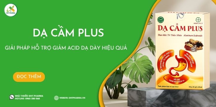 Dạ Cầm Plus – Giải Pháp Hỗ Trợ Giảm Acid Dạ Dày Hiệu Quả