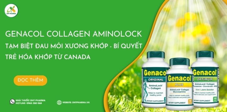 Tạm biệt đau mỏi xương khớp với Genacol Collagen AminoLock – Bí quyết trẻ hóa khớp từ Canada